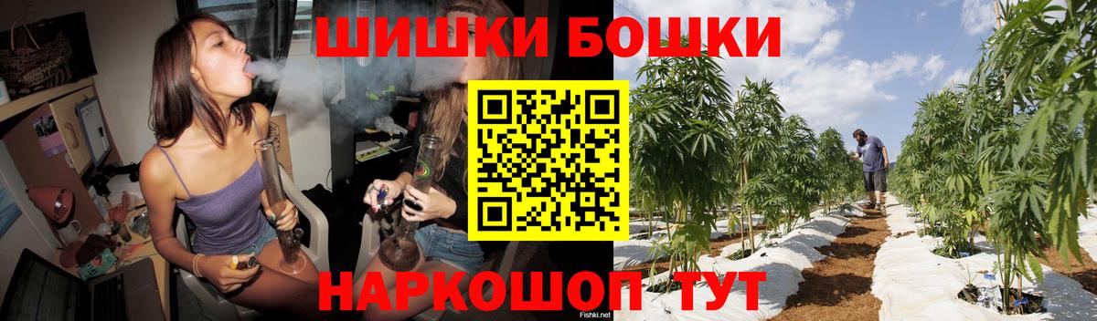 Бошки Шишки планчик Лесосибирск